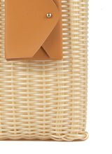 Load image into Gallery viewer, AURA MINI BAG CHAMPAGNE